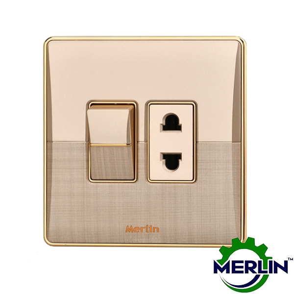 2 Pin Socket with Switch | Elegant Gold